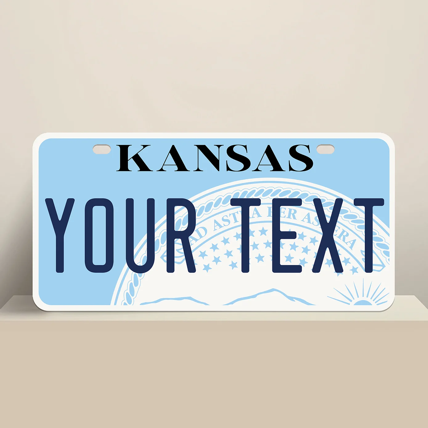 Kansas License Plate Issue 1994